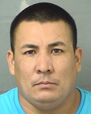  ANGEL ALBERTO FLORESMARTINEZ Results from Palm Beach County Florida for  ANGEL ALBERTO FLORESMARTINEZ