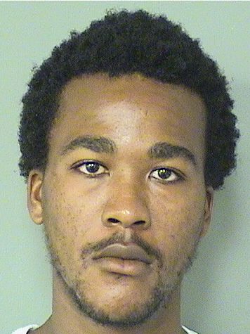  ACKEEM D HENDRICKS Results from Palm Beach County Florida for  ACKEEM D HENDRICKS