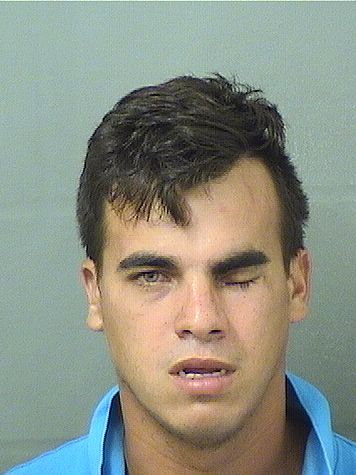  MOISES ANTONIO SABILLONPEREZ Results from Palm Beach County Florida for  MOISES ANTONIO SABILLONPEREZ