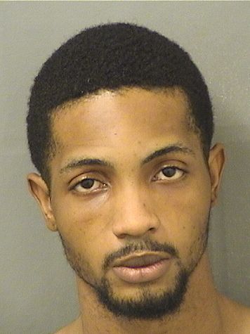  DELANO ALOYSIUS GREEN Results from Palm Beach County Florida for  DELANO ALOYSIUS GREEN