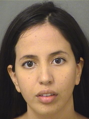  DIANA CAREY Results from Palm Beach County Florida for  DIANA CAREY