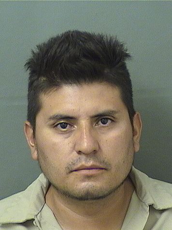  DANIEL CARRILLOMARTINEZ Resultados de la busqueda para Palm Beach County Florida para  DANIEL CARRILLOMARTINEZ