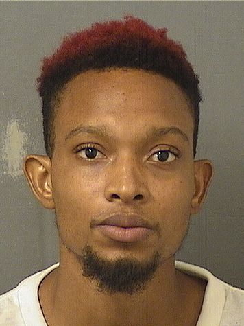  DELROY ANTHONY WILLIAMS Results from Palm Beach County Florida for  DELROY ANTHONY WILLIAMS