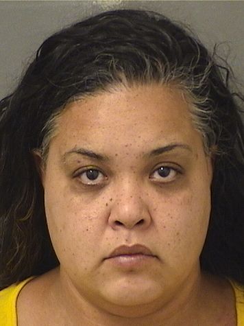  MINERVA LUGO Results from Palm Beach County Florida for  MINERVA LUGO