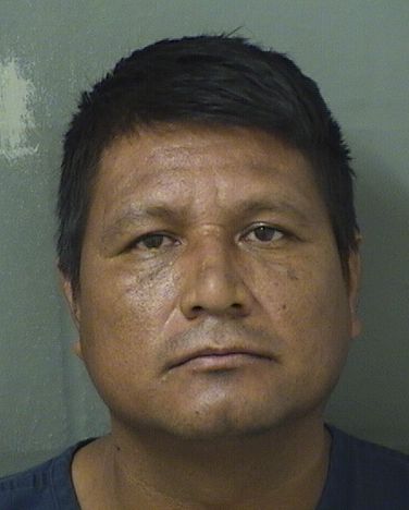  VENICIO GOMEZMEJIA Results from Palm Beach County Florida for  VENICIO GOMEZMEJIA