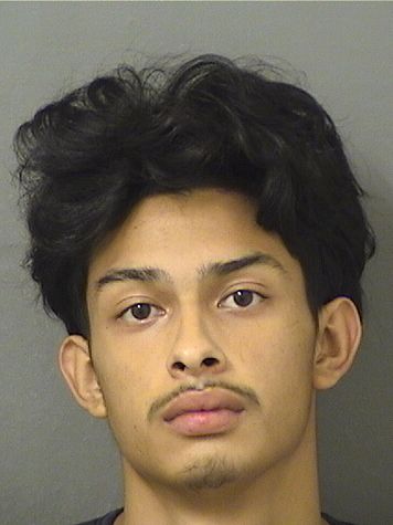  ANTHONY ALCOCER Resultados de la busqueda para Palm Beach County Florida para  ANTHONY ALCOCER