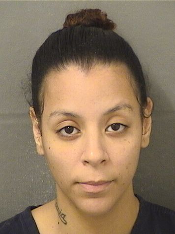  EMELIE JESSY BRAVO Results from Palm Beach County Florida for  EMELIE JESSY BRAVO