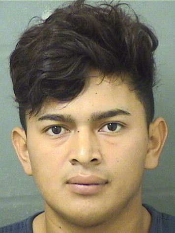  WILBER GONZALEZ Results from Palm Beach County Florida for  WILBER GONZALEZ