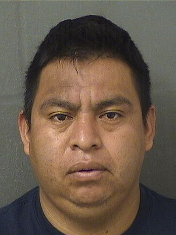  JUAN FRANCISCO SONHUIX Results from Palm Beach County Florida for  JUAN FRANCISCO SONHUIX