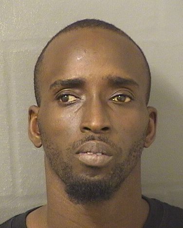  MICHAEL ANTHONY HAMILTON Results from Palm Beach County Florida for  MICHAEL ANTHONY HAMILTON