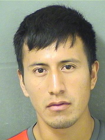  HUGO LEONEL RAMIREZRAMIREZ Results from Palm Beach County Florida for  HUGO LEONEL RAMIREZRAMIREZ