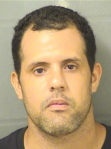  PEDRO DAVID ALVAREZORTEGA Results from Palm Beach County Florida for  PEDRO DAVID ALVAREZORTEGA