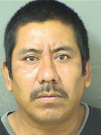 FELIPE JIMENEZ GREGORIO Photos For  FELIPE JIMENEZ GREGORIO  FELIPE JIMENEZ GREGORIO Photo For  FELIPE JIMENEZ GREGORIO