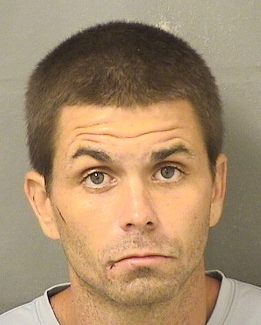  FRANCIS ANTHONY LIFGREN Results from Palm Beach County Florida for  FRANCIS ANTHONY LIFGREN