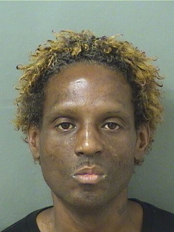 BRANDON LANDAU LEE Results from Palm Beach County Florida for BRANDON LANDAU LEE BRANDON LANDAU LEE Results from Palm Beach County Florida for BRANDON LANDAU LEE