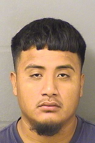  WILMER VENTURA Resultados de la busqueda para Palm Beach County Florida para  WILMER VENTURA