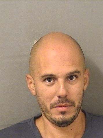  HAZIEL DAVID ACOSTAMAYSONET Results from Palm Beach County Florida for  HAZIEL DAVID ACOSTAMAYSONET