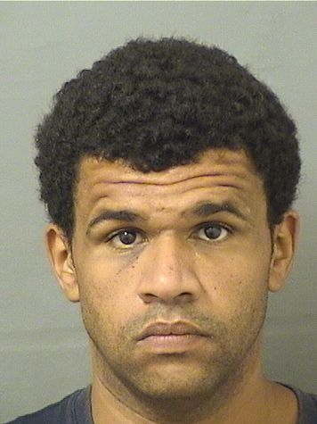  RUSSELL VICCARO Results from Palm Beach County Florida for  RUSSELL VICCARO