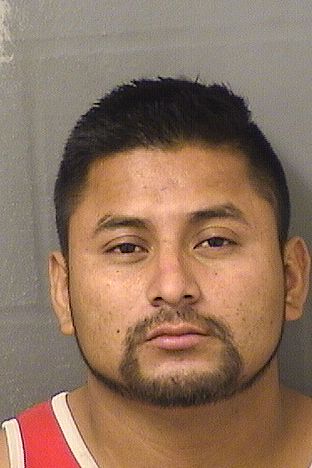  WALDEMAR CARRILLOMARTINEZ Results from Palm Beach County Florida for  WALDEMAR CARRILLOMARTINEZ