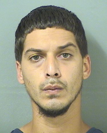  MICHAEL F CONKLIN Results from Palm Beach County Florida for  MICHAEL F CONKLIN