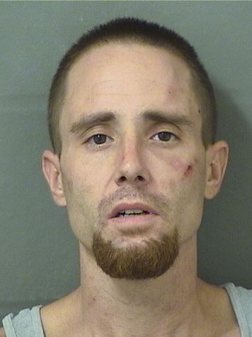  LOUIS DIFAZIO Results from Palm Beach County Florida for  LOUIS DIFAZIO