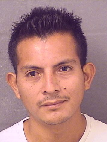  ROMUALDO DARINEL RAMIREZRAMOS Results from Palm Beach County Florida for  ROMUALDO DARINEL RAMIREZRAMOS