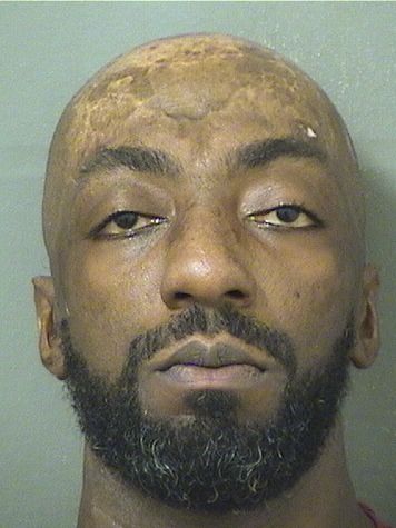  JEROME EMANUEL ROBINSON Results from Palm Beach County Florida for  JEROME EMANUEL ROBINSON