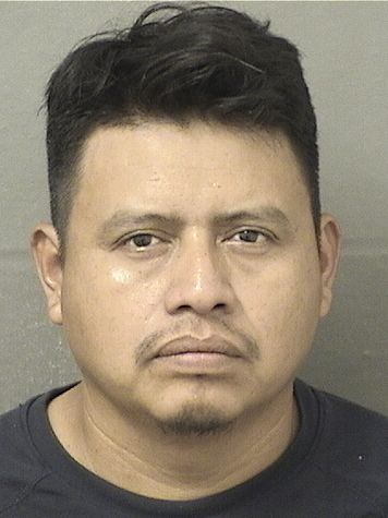  ANTONIO CASTILLOHERNANDEZ Results from Palm Beach County Florida for  ANTONIO CASTILLOHERNANDEZ