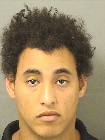  MICHAEL QUAVION WALSH Resultados de la busqueda para Palm Beach County Florida para  MICHAEL QUAVION WALSH