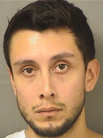  HEBERT R PELAEZ Results from Palm Beach County Florida for  HEBERT R PELAEZ