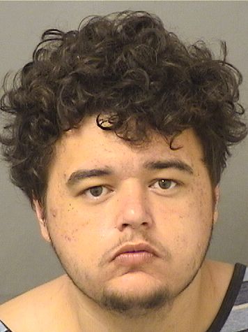  CHRISTOPHER A LOTT Results from Palm Beach County Florida for  CHRISTOPHER A LOTT