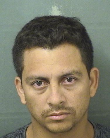  WILLIAM I ORTEGATORREZ Resultados de la busqueda para Palm Beach County Florida para  WILLIAM I ORTEGATORREZ