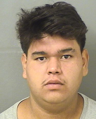  LUIS CALDERON Results from Palm Beach County Florida for  LUIS CALDERON
