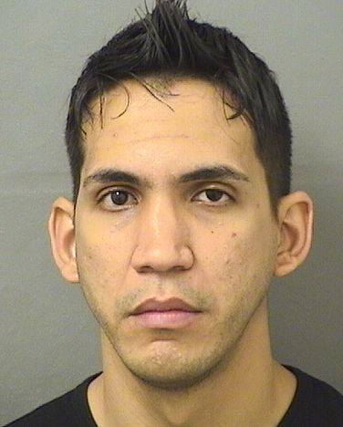  DIUBER LUIS RODRIGUEZPENA Results from Palm Beach County Florida for  DIUBER LUIS RODRIGUEZPENA