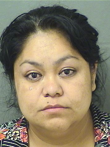  JOSEFA DEJESUS MARTINEZMORENO Results from Palm Beach County Florida for  JOSEFA DEJESUS MARTINEZMORENO