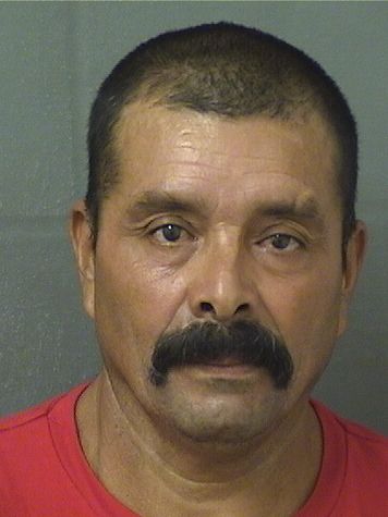  ROMOLO MARTINEZ MARTINEZ Resultados de la busqueda para Palm Beach County Florida para  ROMOLO MARTINEZ MARTINEZ