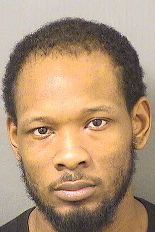  DAVID L MITCHELL Resultados de la busqueda para Palm Beach County Florida para  DAVID L MITCHELL