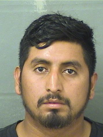  MIGUEL VAILLUCUS Resultados de la busqueda para Palm Beach County Florida para  MIGUEL VAILLUCUS