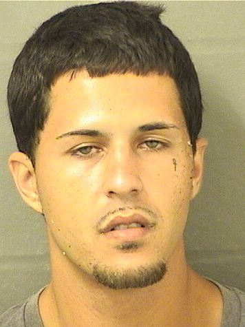  JEFFREY DAVID MADERA Resultados de la busqueda para Palm Beach County Florida para  JEFFREY DAVID MADERA