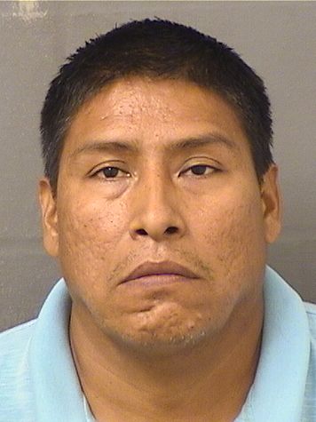  KINDER FRANK VIOLETA Resultados de la busqueda para Palm Beach County Florida para  KINDER FRANK VIOLETA