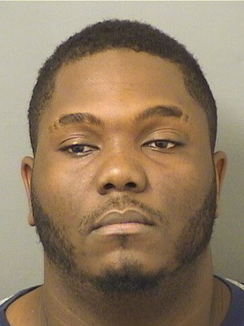  JASON M LOUISDOR Resultados de la busqueda para Palm Beach County Florida para  JASON M LOUISDOR