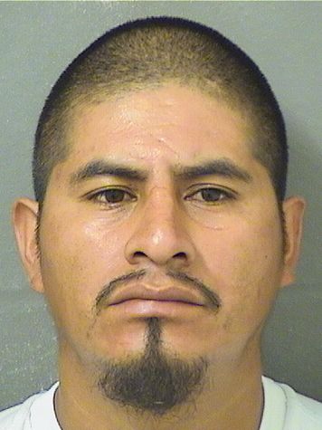  BALTAZAR DIEGOANDRES Resultados de la busqueda para Palm Beach County Florida para  BALTAZAR DIEGOANDRES