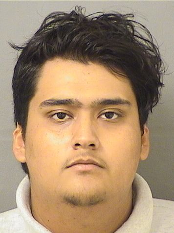  ROBERTO J DIAZANDRADE Resultados de la busqueda para Palm Beach County Florida para  ROBERTO J DIAZANDRADE
