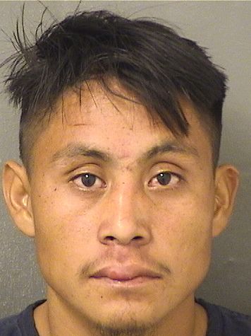  TOMAS TOMAS GASPAR Photo For  TOMAS TOMAS GASPAR