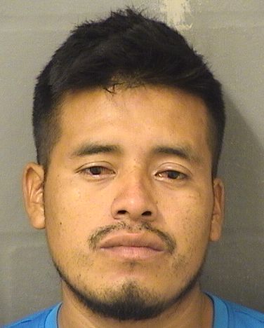  EDDY ABIMAEL RAMOSDELEON Results from Palm Beach County Florida for  EDDY ABIMAEL RAMOSDELEON