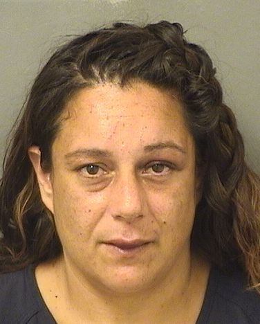  ERICA NICOLE MASTROPOLO Results from Palm Beach County Florida for  ERICA NICOLE MASTROPOLO