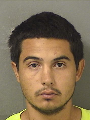  DAVID J PRICE Results from Palm Beach County Florida for  DAVID J PRICE