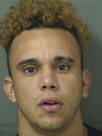  JORGE ALFREDO CRUZPINO Results from Palm Beach County Florida for  JORGE ALFREDO CRUZPINO