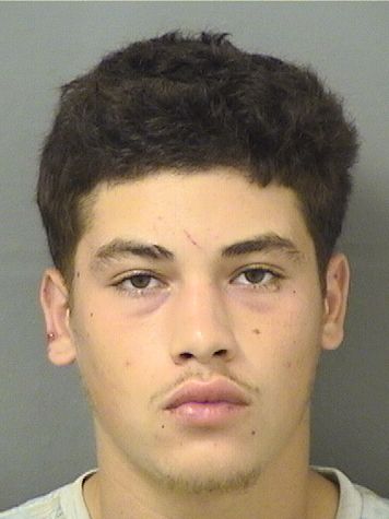  CARLOS WALKER Resultados de la busqueda para Palm Beach County Florida para  CARLOS WALKER