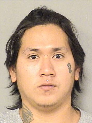  HECTOR J PEREZ Results from Palm Beach County Florida for  HECTOR J PEREZ